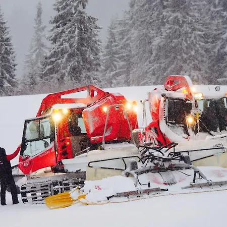 Kosodrevina - Turistická Ubytovňa Tale