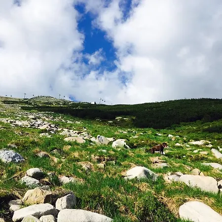 Kosodrevina - Turisticka Tále