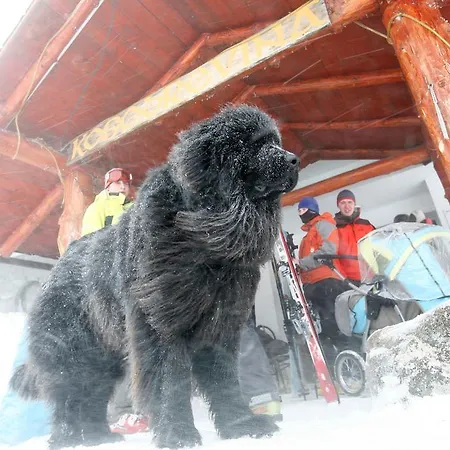 Albergue Kosodrevina - Turistická Ubytovňa *