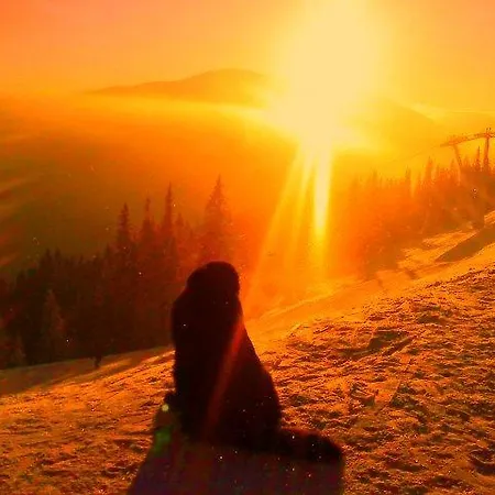 Albergue Kosodrevina - Turistická Ubytovňa Tale