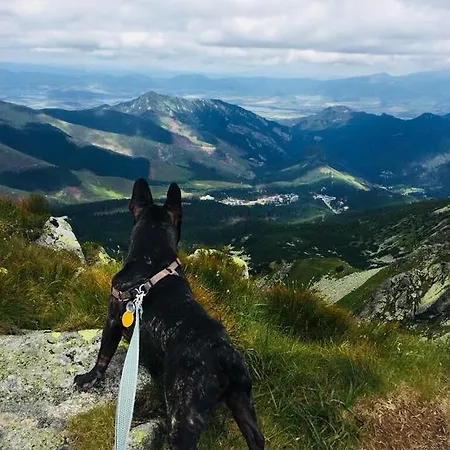 Kosodrevina - Turistická Ubytovňa Albergue