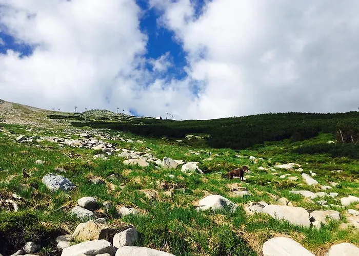 Kosodrevina - Turisticka Valaská