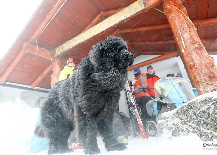 Hostel Chata Kosodrevina *