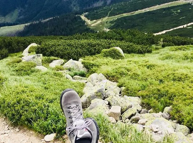 Hostel Chata Kosodrevina *