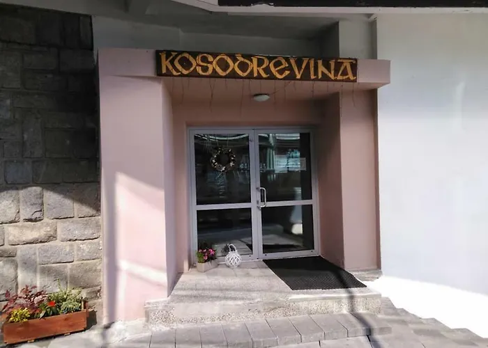 Auberge de jeunesse Kosodrevina - Turisticka